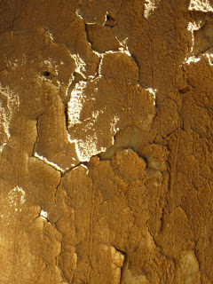 chips-de-cebolla-y-rucula-bien-crujientes-arrebossart-lateru82-lagunas-tello-ruben-rebozados-de-barro-revocos-de-tierra